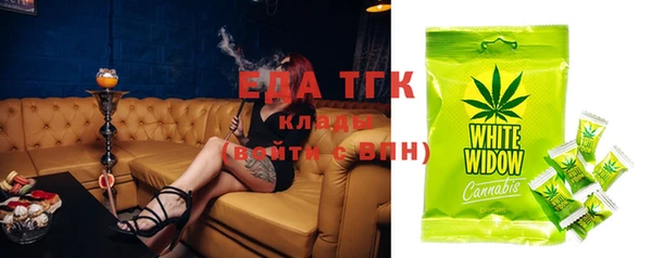 винт Дмитриев