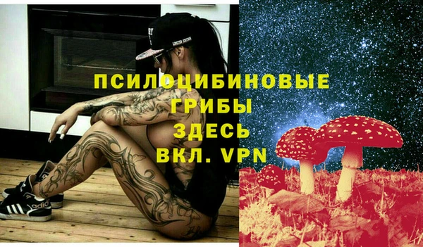 винт Дмитриев