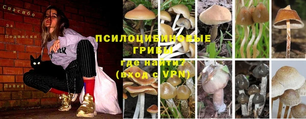 винт Дмитриев