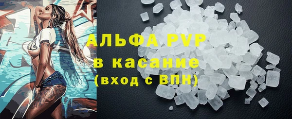 винт Дмитриев