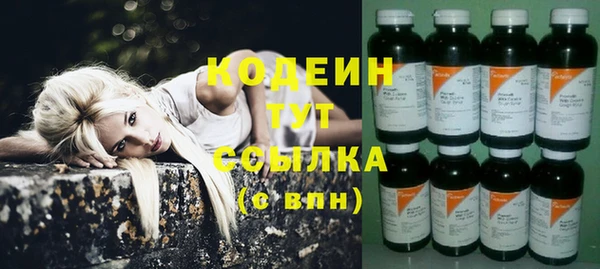 винт Дмитриев