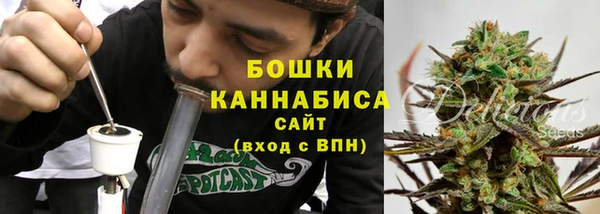винт Дмитриев